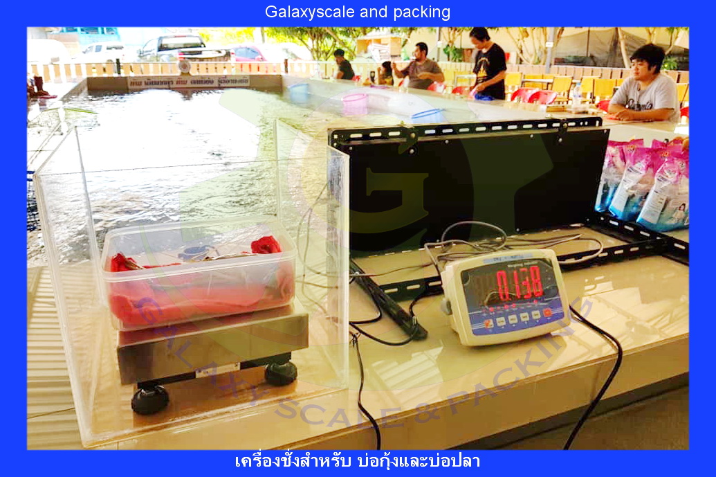 เครื่องชั่งดิจิตอล เครื่องชั่งตั้งโต๊ะขนาด 25x25cm พร้อมจอแยกขนาด 5 นิ้ว