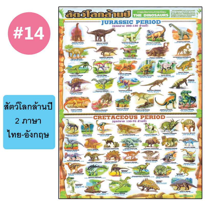 โปสเตอร์เพื่อการศึกษา ขายส่ง nongnini1988