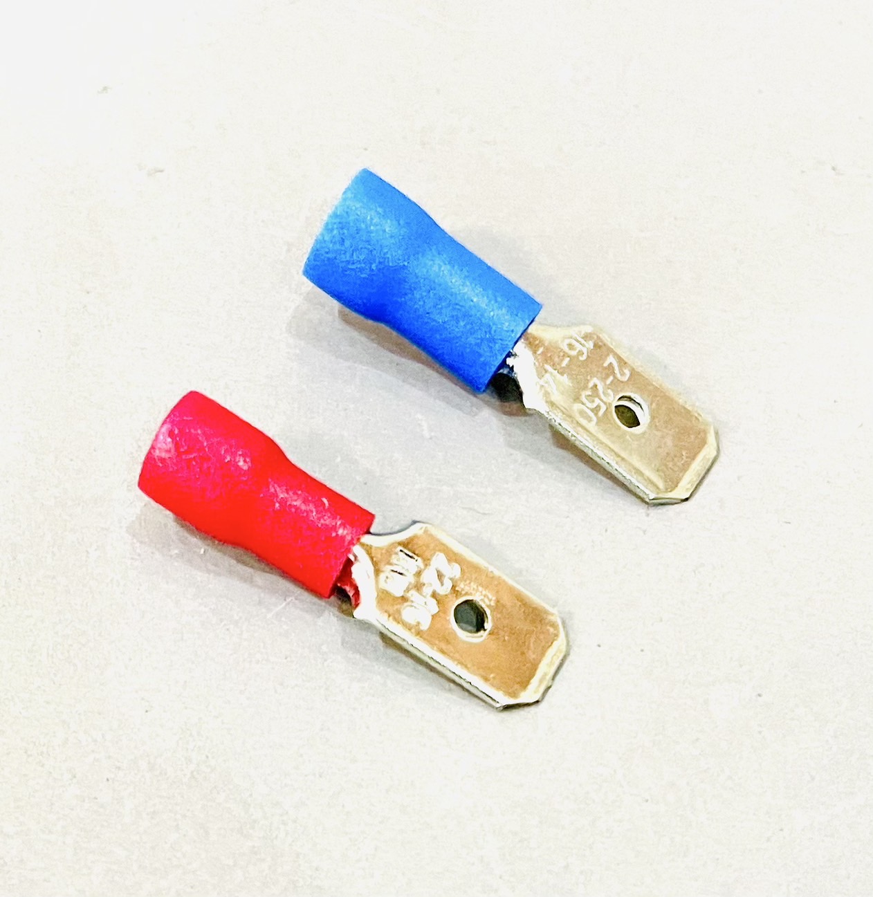 หางปลาเสียบ ตัวผู้