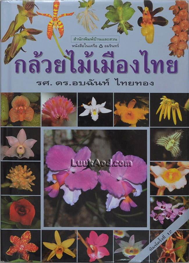 กล้วยไม้เมืองไทย