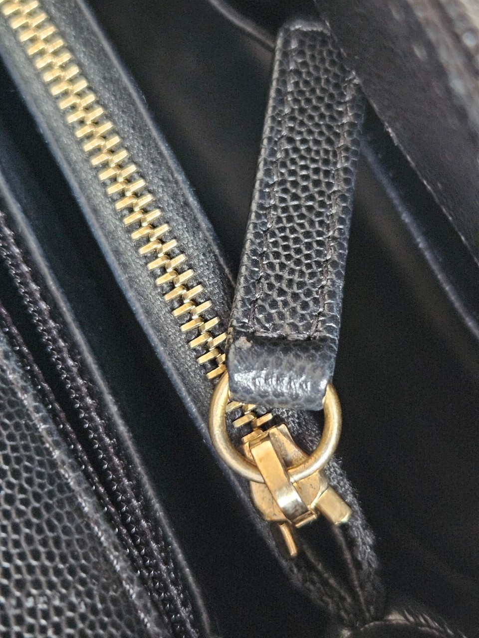 Chanel Coco 10.5 Caviar Lizard holo26