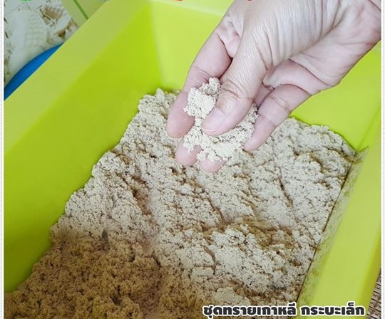 ชุดกระบะทรายเล็ก (จากเกาหลี)