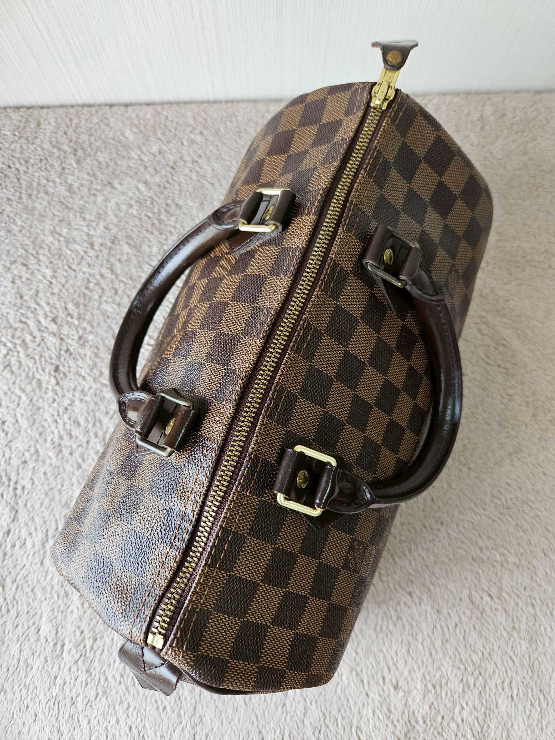 LV Speedy 30 Damier