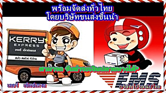 เหรียญครูบาบุญชุ่ม รุ่นมังกรคู่ ปี 2545