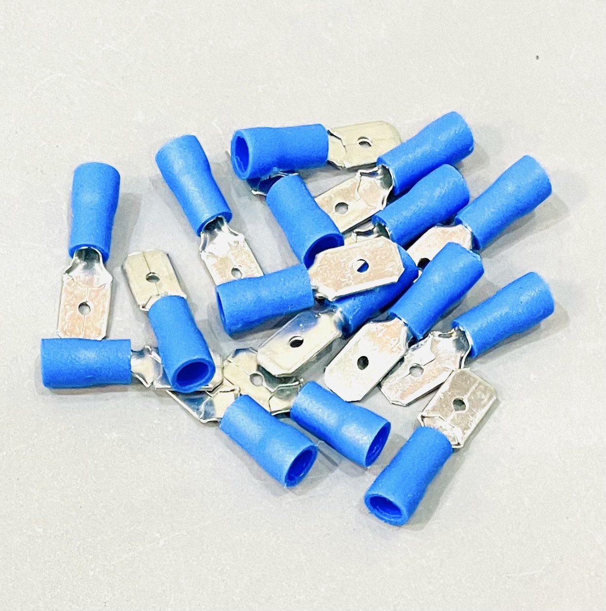 หางปลาเสียบ ตัวผู้