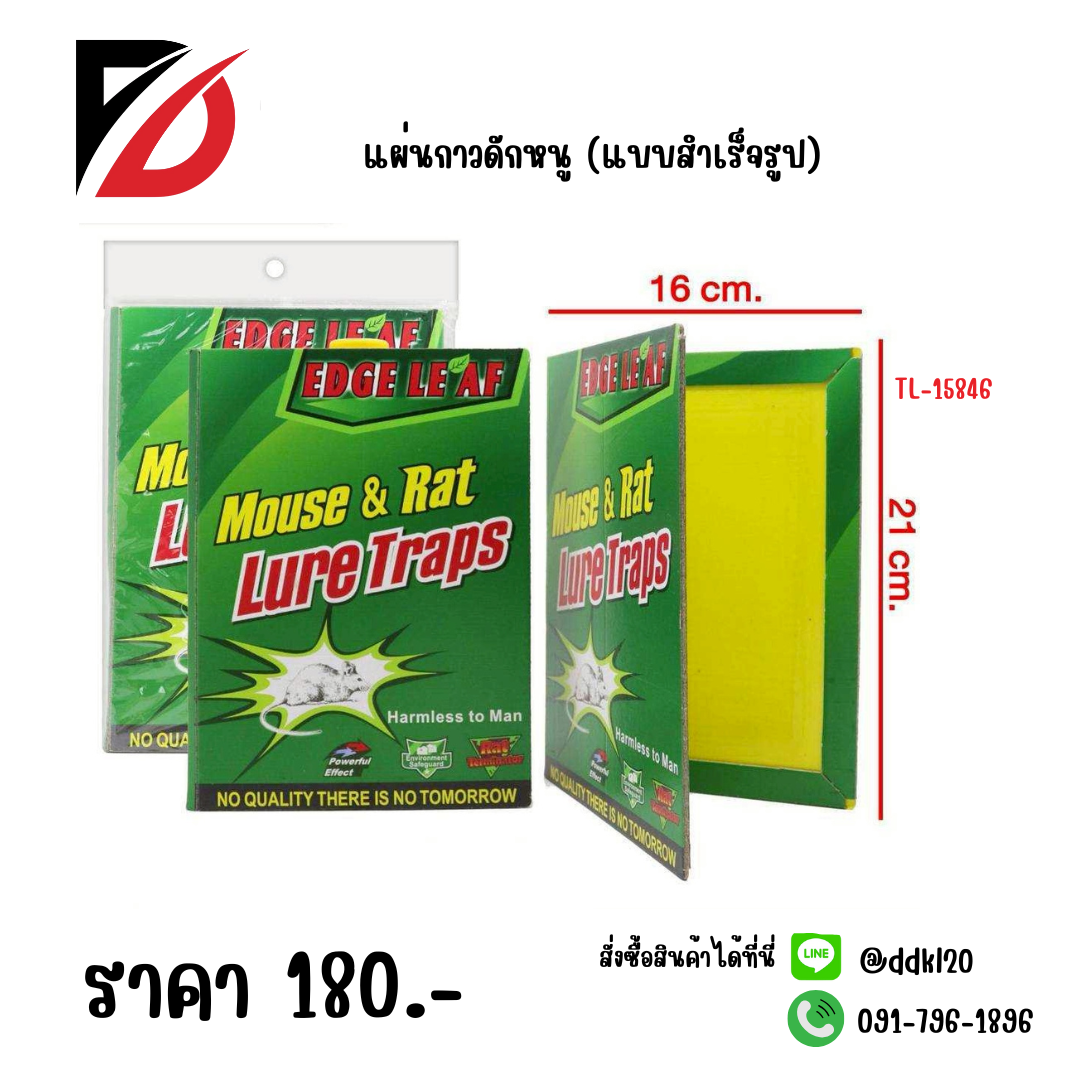 แผ่นกาวดักหนู (แบบสำเร็จรูป)