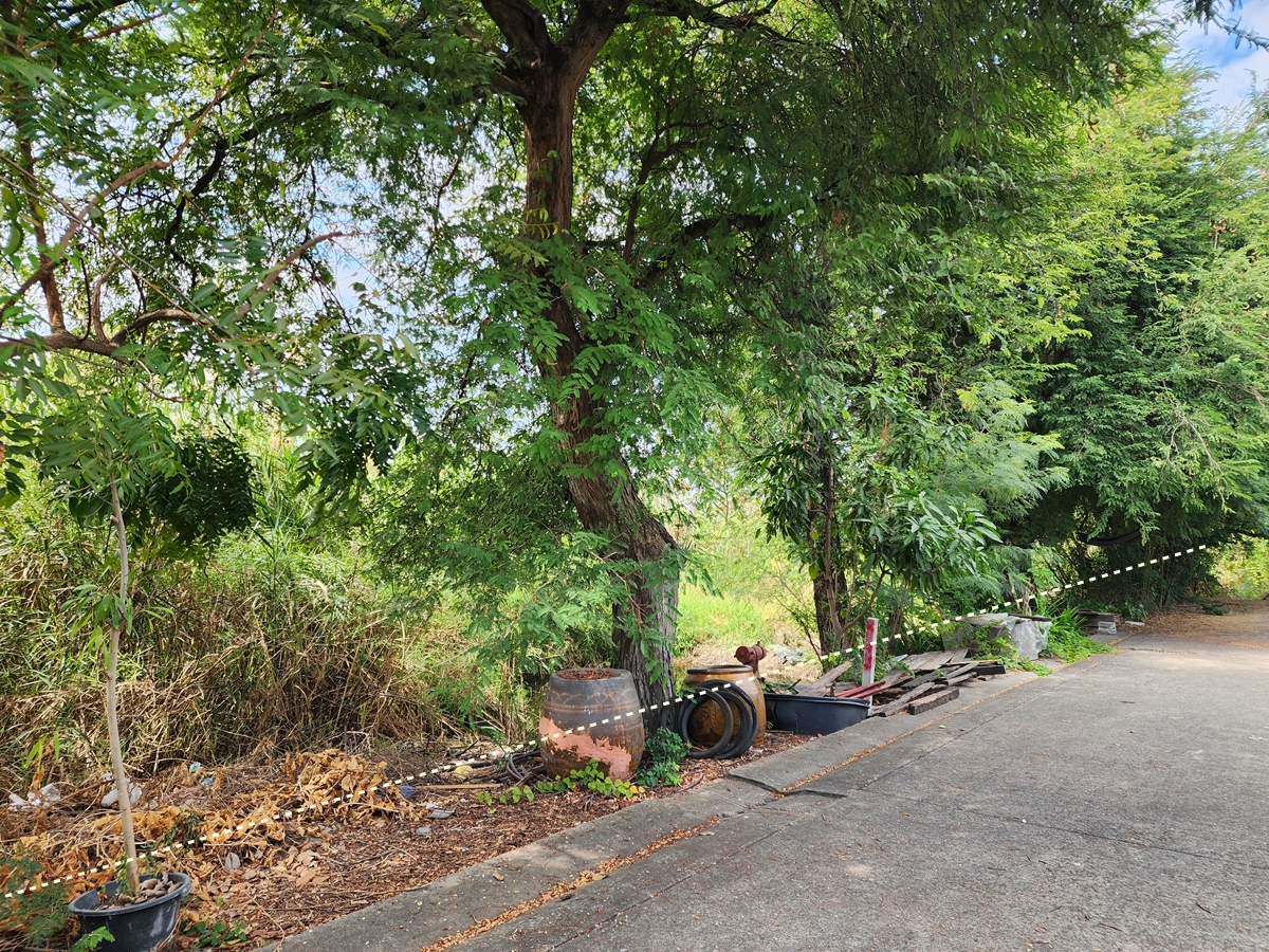 ขาย ที่ดินเปล่า 212 ตร.ว. ซอยธรรมสุธีร์ 19 อ.เมืองปทุมธานี จ.ปทุมธานี