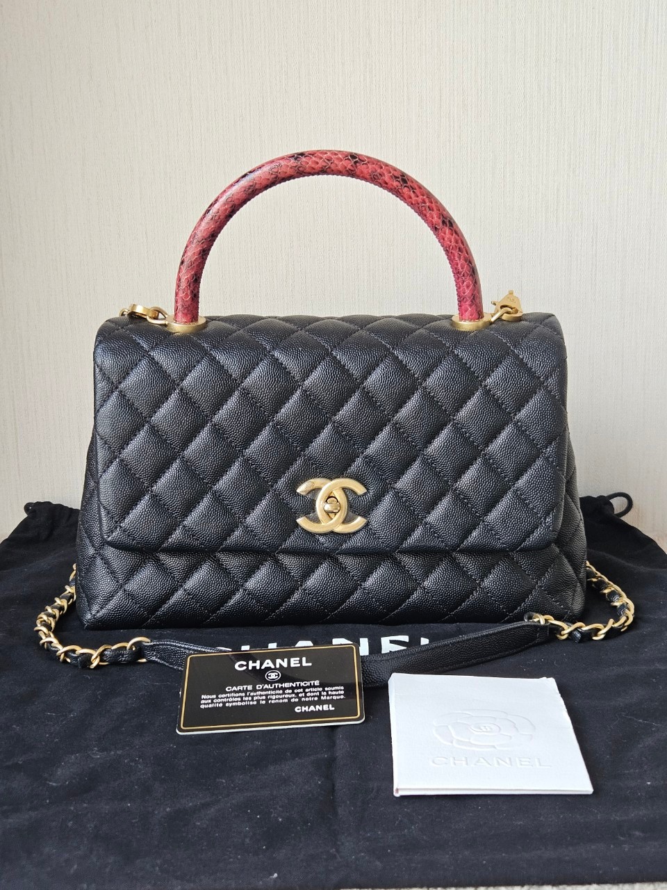 Chanel Coco 10.5 Caviar Lizard holo26