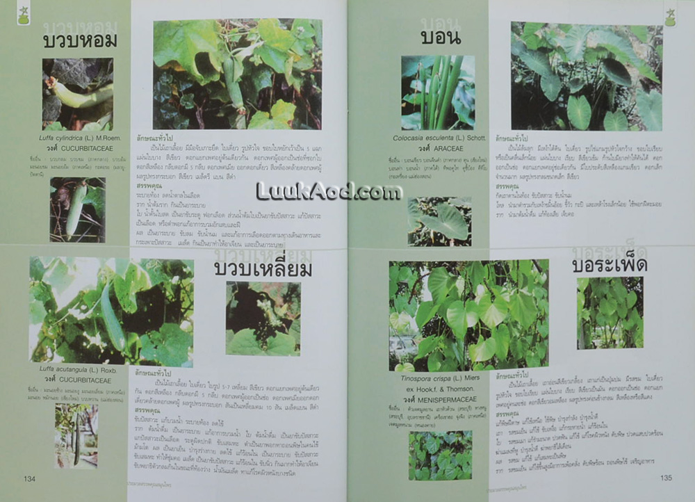 ประมวลสรรพคุณ สมุนไพรไทย 1 *ใบรองปกมีการเขียนข้อความ