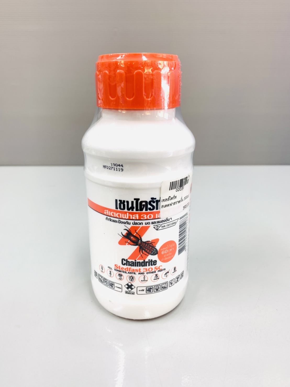 เชลล์ไดร์ท สเตดฟาสราดพื้น