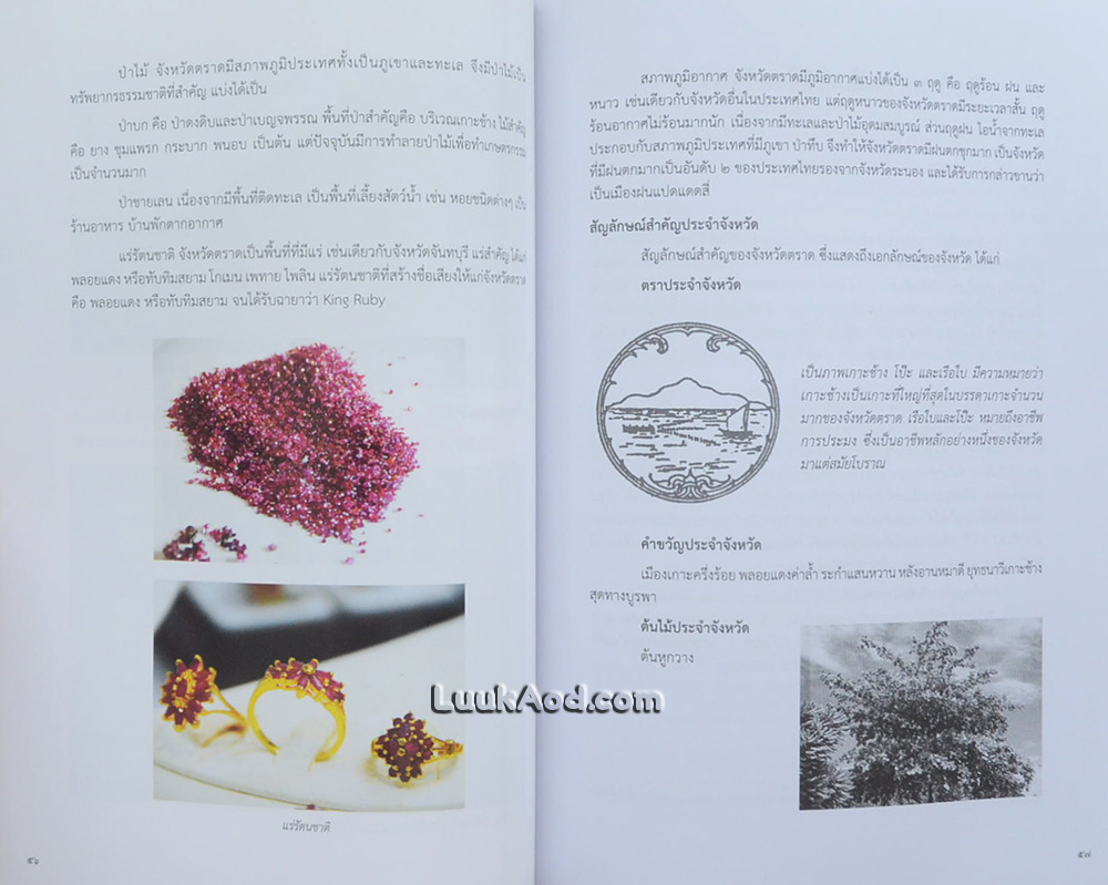 ปกิณกศิลปวัฒนธรรม เล่ม 19 จังหวัดตราด
