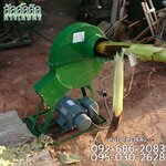 เครื่องสับต้นกล้วย ราคาถูก 3900 บาท