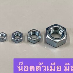 น็อตตัวเมียมิลขาว (ห่อเล็ก)