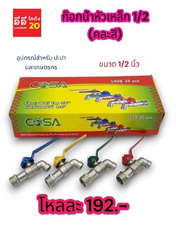 ก๊อกน้ำหัวเหล็ก ขนาด 1/2 นิ้ว คละสี H20-0231