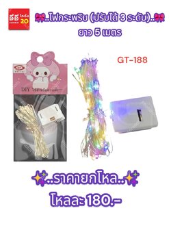 ไฟกระพริบ (ปรับได้ 3 ระดับ) ยาว 5 เมตร