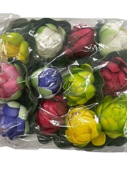 ดอกบัวลอยน้ำ 10 ซม. (ดอกตูม)