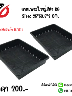 ถาดเพาะใหญ่สีดำ BG Size: 35*50.5*8 CM.