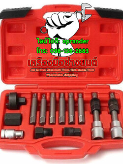 ชุดถอดมู่เล่ย์ ไดชาร์จ ฝาสูบ 13 ตัวชุด (Alternator Pulley Clutch) ไต้หวัน (TAIWAN)