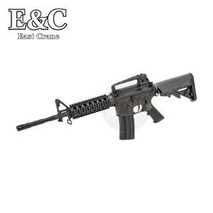 E&C 308 S2 M4 RIS AEG