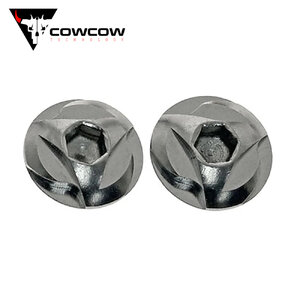 CowCow Stainless Steel Grip Screw for Hi-CAPA (Silver)