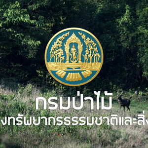 กรมป่าไม้ เปิดรับสมัครสอบบรรจุเข้ารับราชการ 69 อัตรา รับสมัครทางอินเทอร์เน็ต ตั้งแต่วันที่ 18 กันยายน - 16 ตุลาคม 2566