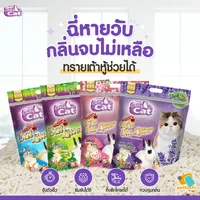 Catty Cat แคทตี้แคท ทรายแมวภูเขาไฟ ทรายแมวคริสตัล ทรายแมวเต้าหู้ จับตัวเป็นก้อน