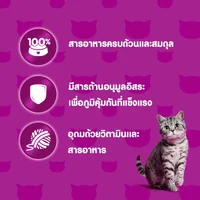 Whiskas Pouch วิสกัส เพาซ์ อาหารแมวโต ลูกแมว แมวแก่7+ ครบทุกรสชาติ ขนาด 80 กรัม Whiskas Pouch วิสกัส เพาซ์ อาหารแมวโต ลูกแมว แมวแก่7+ ครบทุกรสชาติ ขนาด 80 กรัม