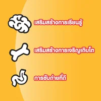Pedigree เพดดิกรี อาหารสุนัข ขนสวย สุขภาพดี ทุกสูตร ทุกสายพันธุ์ 400g Pedigree เพดดิกรี อาหารสุนัข ขนสวย สุขภาพดี ทุกสูตร ทุกสายพันธุ์ 400g