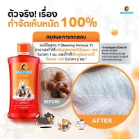 BEARING แชมพูกำจัดเห็บหมัดสุนัข แชมพูอาบน้ำสุนัข ขจัดกลิ่นสาบ ป้องกันเห็บ หมัด ครบสูตร ขนาด 150-600ml BEARING แชมพูกำจัดเห็บหมัดสุนัข แชมพูอาบน้ำสุนัข ขจัดกลิ่นสาบ ป้องกันเห็บ หมัด ครบสูตร ขนาด 150-600ml