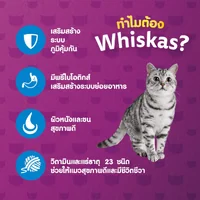 Whiskas Pouch วิสกัส เพาซ์ อาหารแมวโต ลูกแมว แมวแก่7+ ครบทุกรสชาติ ขนาด 80 กรัม Whiskas Pouch วิสกัส เพาซ์ อาหารแมวโต ลูกแมว แมวแก่7+ ครบทุกรสชาติ ขนาด 80 กรัม