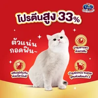 Ginno กินโนะ อาหารแมวโต 360g-380g สารอาหารครบถ้วน บำรุงขนให้นุ่มสวย ไม่เค็ม Ginno กินโนะ อาหารแมวโต 360g-380g สารอาหารครบถ้วน บำรุงขนให้นุ่มสวย ไม่เค็ม