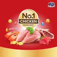 Ginno กินโนะ อาหารแมวโต 360g-380g สารอาหารครบถ้วน บำรุงขนให้นุ่มสวย ไม่เค็ม Ginno กินโนะ อาหารแมวโต 360g-380g สารอาหารครบถ้วน บำรุงขนให้นุ่มสวย ไม่เค็ม