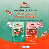 อาหารปลาสวยงาม Apro IQ/Okiko/F-1 สูตรเร่งสีเร่งโต เขียว แดง เม็ดเล็กกลางใหญ่ อาหารปลาสวยงาม Apro IQ/Okiko/F-1 สูตรเร่งสีเร่งโต เขียว แดง เม็ดเล็กกลางใหญ่