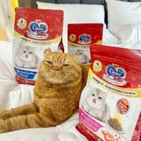 Ginno กินโนะ อาหารแมวโต 360g-380g สารอาหารครบถ้วน บำรุงขนให้นุ่มสวย ไม่เค็ม Ginno กินโนะ อาหารแมวโต 360g-380g สารอาหารครบถ้วน บำรุงขนให้นุ่มสวย ไม่เค็ม