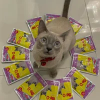 [ยกโหล] Me-o มีโอ อาหารเปียกแมว ขนาด 80g ลูกแมว แมวโต สูงวัย7+(คละรสได้)