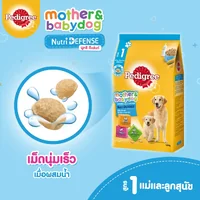 Pedigree เพดดิกรี อาหารสุนัข ขนสวย สุขภาพดี ทุกสูตร ทุกสายพันธุ์ 400g Pedigree เพดดิกรี อาหารสุนัข ขนสวย สุขภาพดี ทุกสูตร ทุกสายพันธุ์ 400g