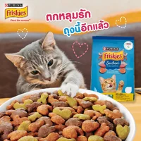Purina Friskies ฟริสกี้ส์ อาหารเม็ดแมว ทุกรส ทุกวัย ขนาด 1Kg - 2.5Kg