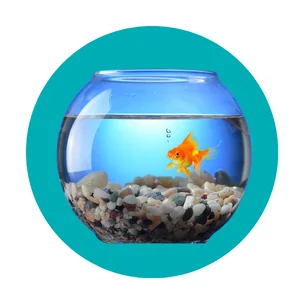 อุปกรณ์ตู้ปลา-FISH TANK ITEMS
