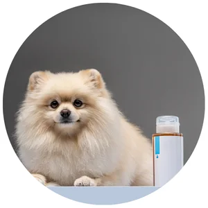 ของใช้ประจำวัน-Daily Care