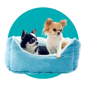 ของใช้สุนัข/แมว-DOG/CAT SUPPLIES