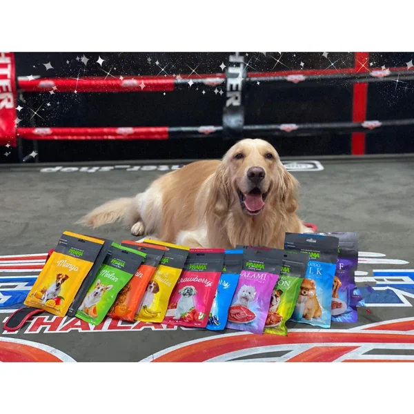 Prama Delicacy Snack ขนมสุนัข พราม่า 70 G รสเบคอน image 3 Prama Delicacy Snack ขนมสุนัข พราม่า 70 G รสเบคอน image 3