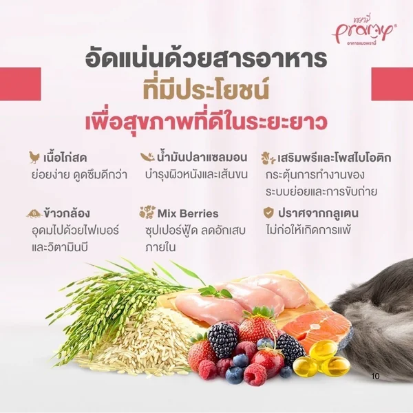 Pramy Care อาหารเม็ดแมว ไม่เค็ม คุมโซเดียม เกรดซุปเปอร์พรีเมียม ขนาด 1 kg-2.3 kg image 2 Pramy Care อาหารเม็ดแมว ไม่เค็ม คุมโซเดียม เกรดซุปเปอร์พรีเมียม ขนาด 1 kg-2.3 kg image 2