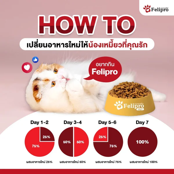 Felipro เฟลิโปร อาหารแมว ควบคุมแร่ธาตุลดโอกาสการเกิดนิ่ว 500g-1 KG ไม่เค็ม image 2
