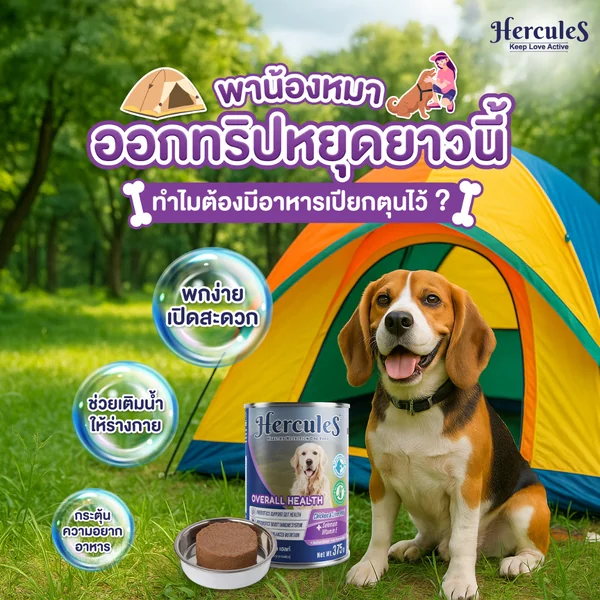 Hercules อาหารกระป๋องสุนัข ลูกสุนัข สุนัขโต สุนัขแก่ 370g Premium Performance image 2 Hercules อาหารกระป๋องสุนัข ลูกสุนัข สุนัขโต สุนัขแก่ 370g Premium Performance image 2