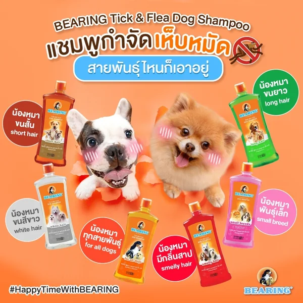 BEARING แชมพูกำจัดเห็บหมัดสุนัข แชมพูอาบน้ำสุนัข ขจัดกลิ่นสาบ ป้องกันเห็บ หมัด ครบสูตร ขนาด 150-600ml image 4 BEARING แชมพูกำจัดเห็บหมัดสุนัข แชมพูอาบน้ำสุนัข ขจัดกลิ่นสาบ ป้องกันเห็บ หมัด ครบสูตร ขนาด 150-600ml image 4
