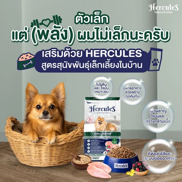 Hercules เฮอร์คิวลิส อาหารเม็ดสุนัขเกรดพรีเมี่ยม ลูกสุนัข สุนัขโต แก่ 500G-1.5KG image 8 Hercules เฮอร์คิวลิส อาหารเม็ดสุนัขเกรดพรีเมี่ยม ลูกสุนัข สุนัขโต แก่ 500G-1.5KG image 8
