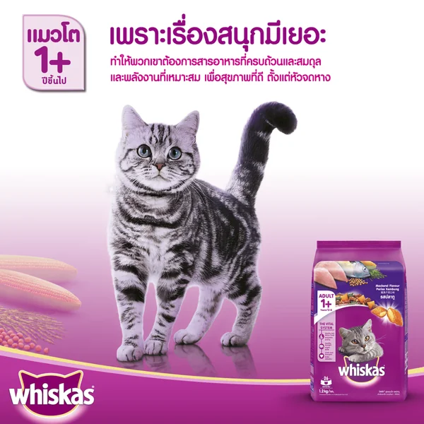 Whiskas วิสกัส อาหารเพื่อสุขภาพและคุณค่าทางโภชนาการสำหรับแมวและลูกแมว 450g-3Kg image 3 Whiskas วิสกัส อาหารเพื่อสุขภาพและคุณค่าทางโภชนาการสำหรับแมวและลูกแมว 450g-3Kg image 3