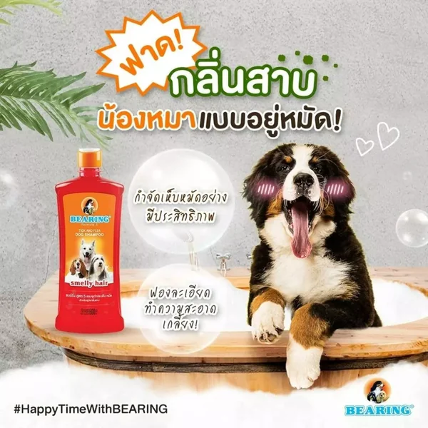 BEARING แชมพูกำจัดเห็บหมัดสุนัข แชมพูอาบน้ำสุนัข ขจัดกลิ่นสาบ ป้องกันเห็บ หมัด 3000ml/3800ml image 4 BEARING แชมพูกำจัดเห็บหมัดสุนัข แชมพูอาบน้ำสุนัข ขจัดกลิ่นสาบ ป้องกันเห็บ หมัด 3000ml/3800ml image 4