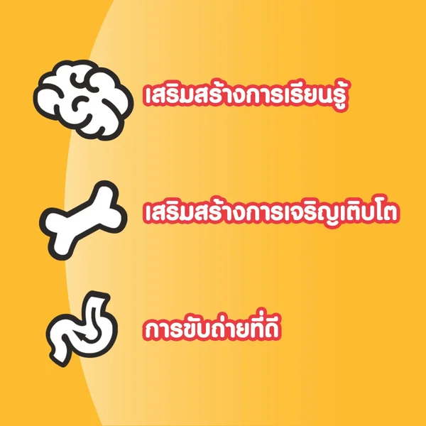 Pedigree เพดดิกรี อาหารสุนัข ขนสวย สุขภาพดี ทุกสูตร ทุกสายพันธุ์ 400g image 2 Pedigree เพดดิกรี อาหารสุนัข ขนสวย สุขภาพดี ทุกสูตร ทุกสายพันธุ์ 400g image 2