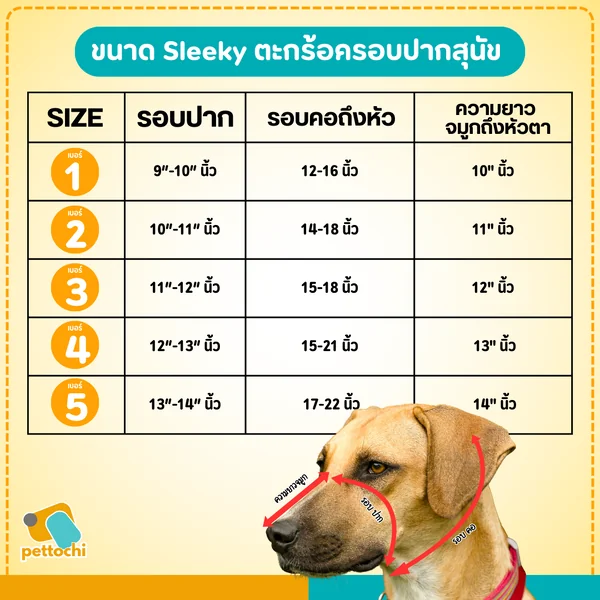 Sleeky สลิคกี้ ตะกร้อครอบปากสุนัข ที่ครอบปากสุนัข วัสดุหนังแท้ ปลอดภัย ทนแข็งแรง image 3 Sleeky สลิคกี้ ตะกร้อครอบปากสุนัข ที่ครอบปากสุนัข วัสดุหนังแท้ ปลอดภัย ทนแข็งแรง image 3